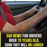 A Kind Story That Prove a Little Sympathy Goes a Long Way