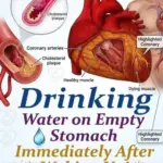 9 tips from a doctor to lose weight naturally, without deprivation or frustration