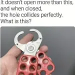 What kind of meat is it?