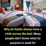 These are the signs that he is cr… See more