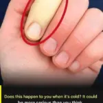 If your .dog is sniffing your crotch, here’s what it means…b/see more